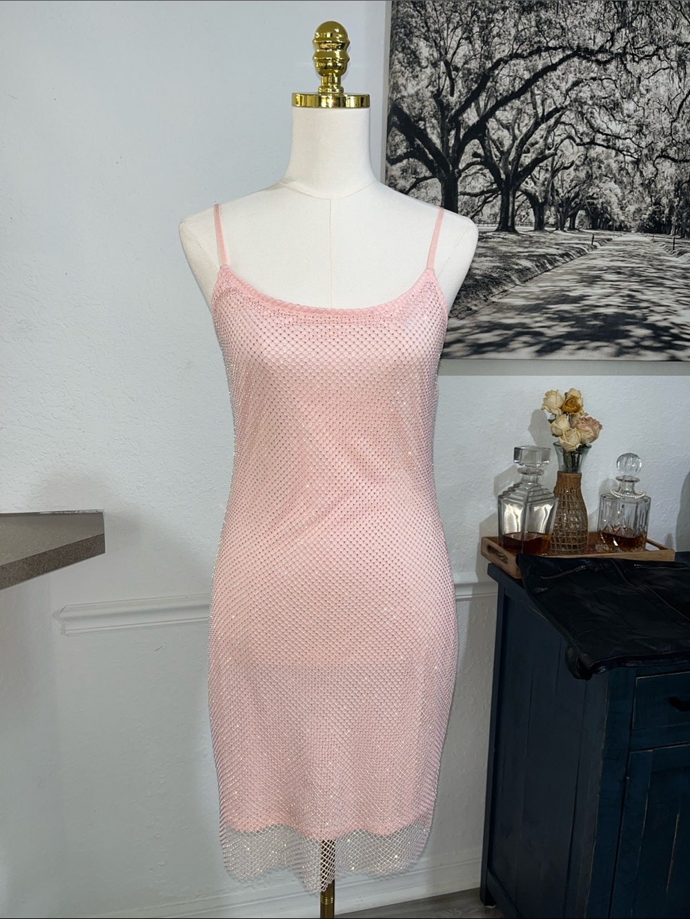 Haute Monde Light Pink Sheer Mesh Slip with Spaghetti Straps large